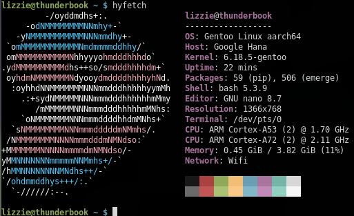 Chromebook hyfetch in Gentoo.